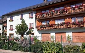 Holiday flats St- Ulrich am Silbersee - OKT02054-DYA